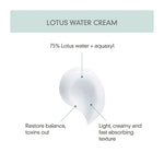 Calming Lotus Cream - Kbeauty Dropzone