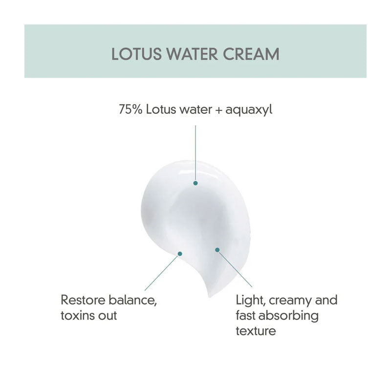Calming Lotus Cream - Kbeauty Dropzone