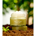 Mugwort Cream - Kbeauty Dropzone