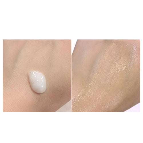 Oil Free Moisturising Lotion (Birch Sap) - Kbeauty Dropzone