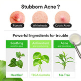 Heartleaf Calming Spot Patch - Kbeauty Dropzone