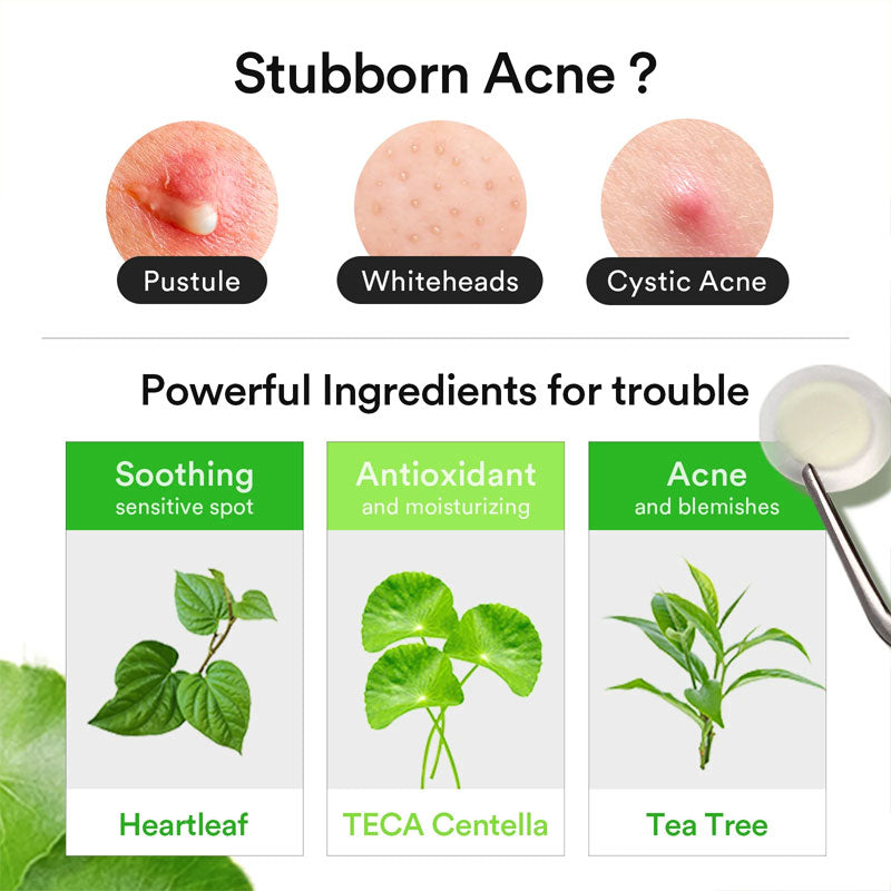 Heartleaf Calming Spot Patch - Kbeauty Dropzone