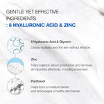8 Hyaluronic Acid Hydrating Gentle Foaming Cleanser - Kbeauty Dropzone