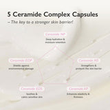 Black Rice 5 Ceramide Barrier Moisturizing Cream