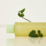 Houttuynia Cordata Calming Moisture Toner