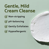 Centella Mild Cleansing Foam