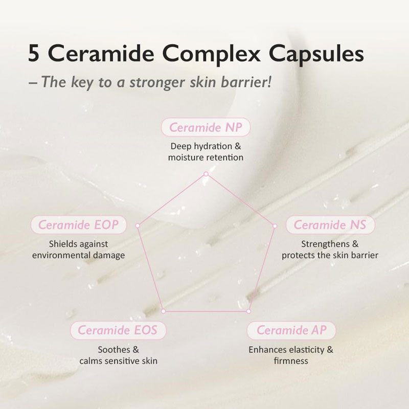 Black Rice 5 Ceramide Barrier Moisturizing Cream - Kbeauty Dropzone