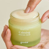 Houttuynia Cordata Calming Moisture Cream