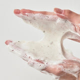 Heartleaf Quercetinol Pore Deep Cleansing Foam