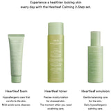 Heartleaf Calming 2-Step Set