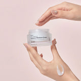 Real Complexion Hyaluron Moisture Cream