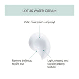 Calming Lotus Cream