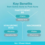No.1 Pantothenic B5 Hyaluronic Active Clear Mask - Kbeauty Dropzone