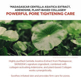 Madagascar Centella Poremizing Clarifying Mask