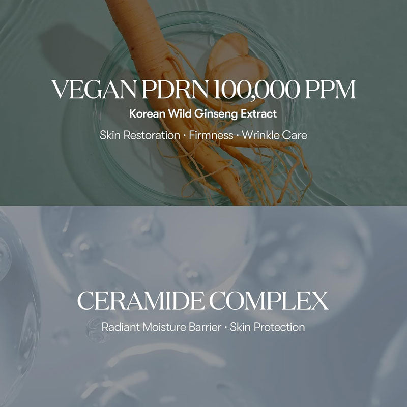 PDRN Essence 100 - Kbeauty Dropzone