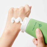 Green Tea Foam Cleanser