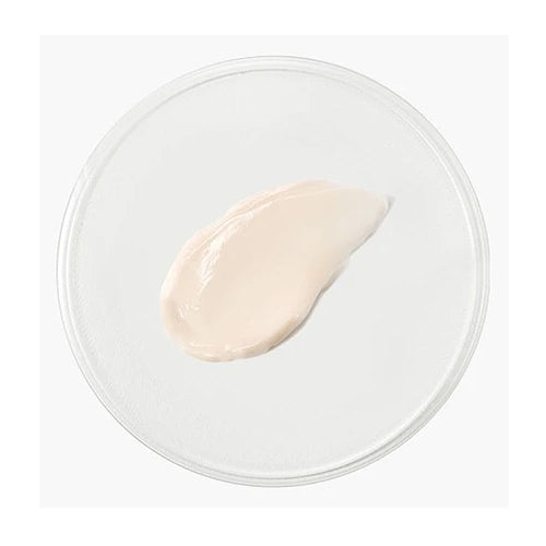Jeju Orchid Intense Cream - Kbeauty Dropzone