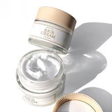 Rice Cream